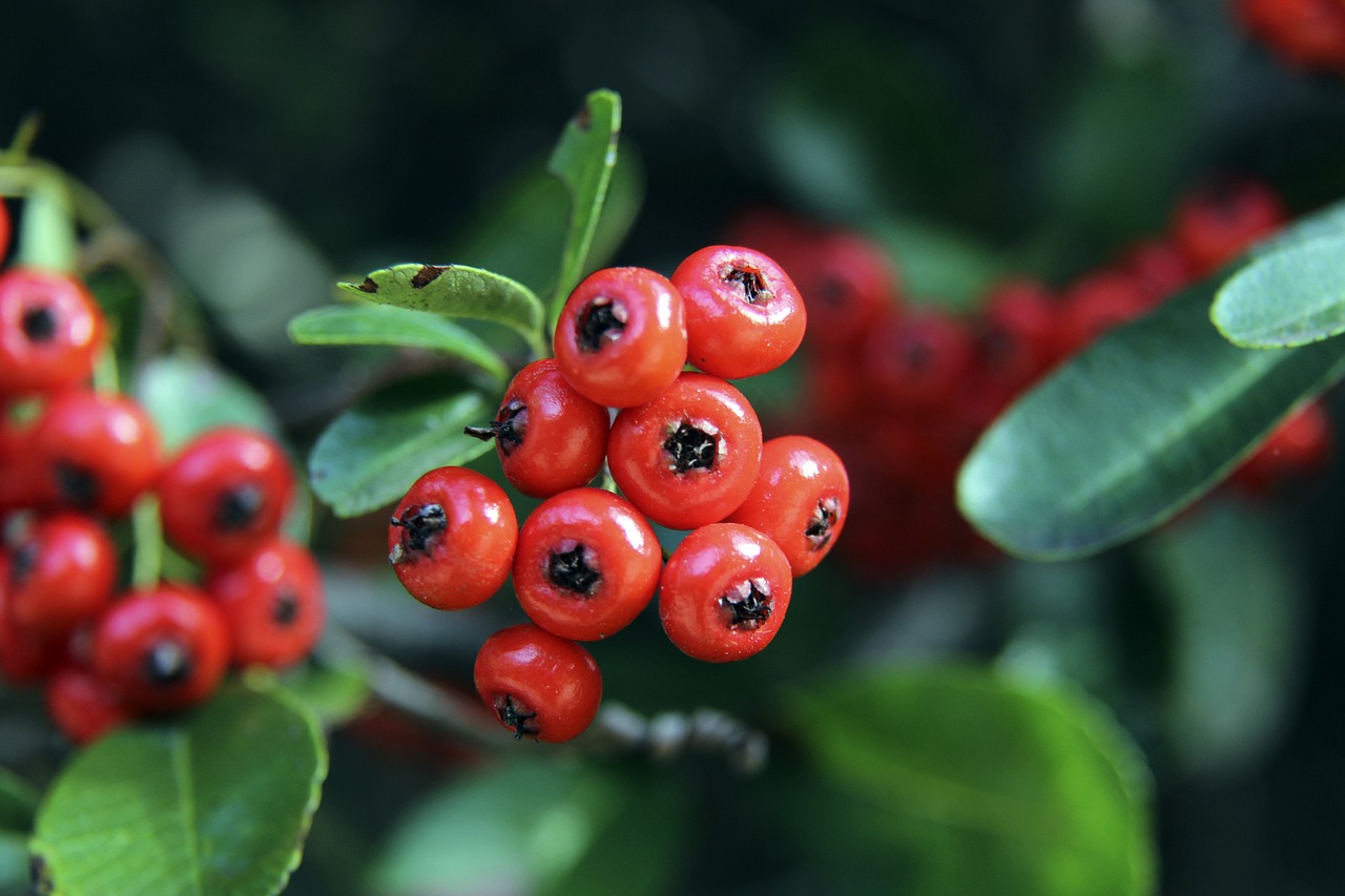 就差点名 就差点名