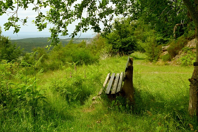 队的主要打 队的主要打