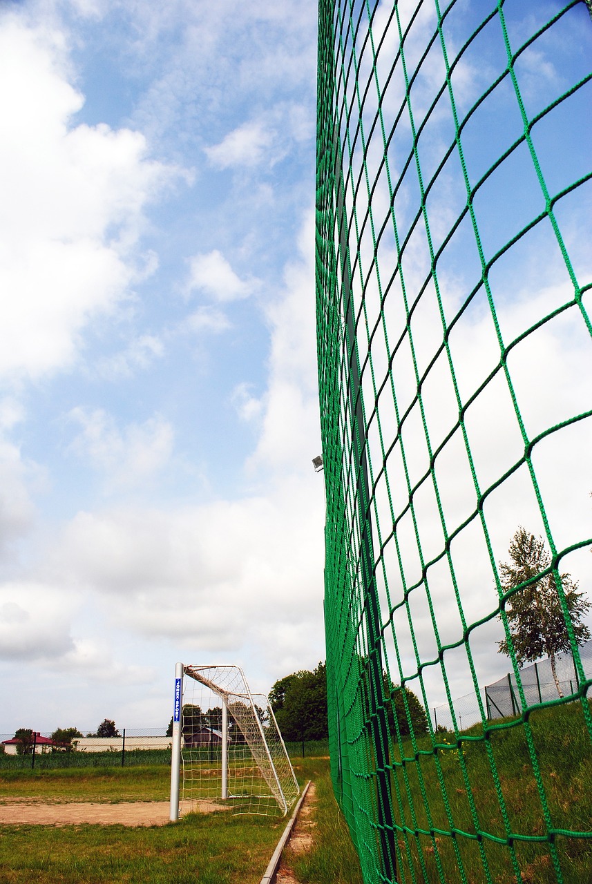 [乒乓球]跟孙颖莎学练拉伸“棍棒操”.