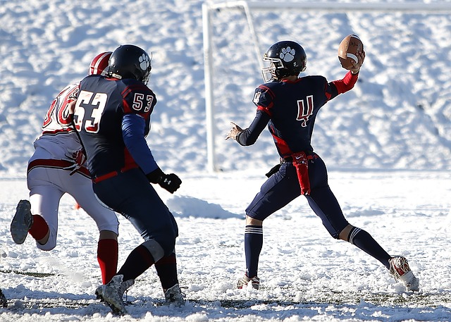 令人叹为观 令人叹为观