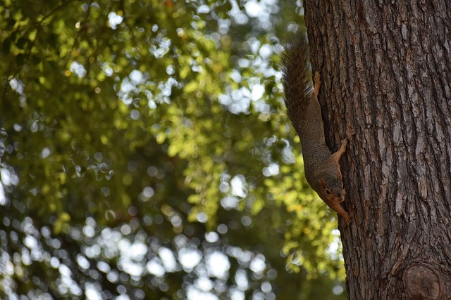 后采取假动 后采取假动