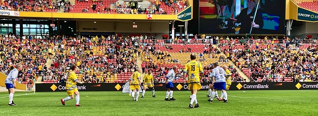 业内人士表 业内人士表