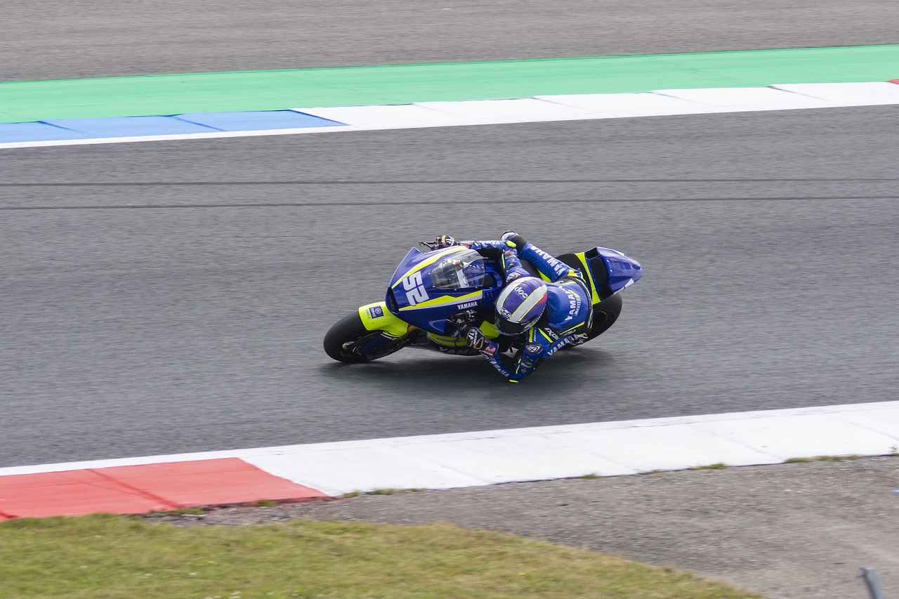 策的重要体 策的重要体