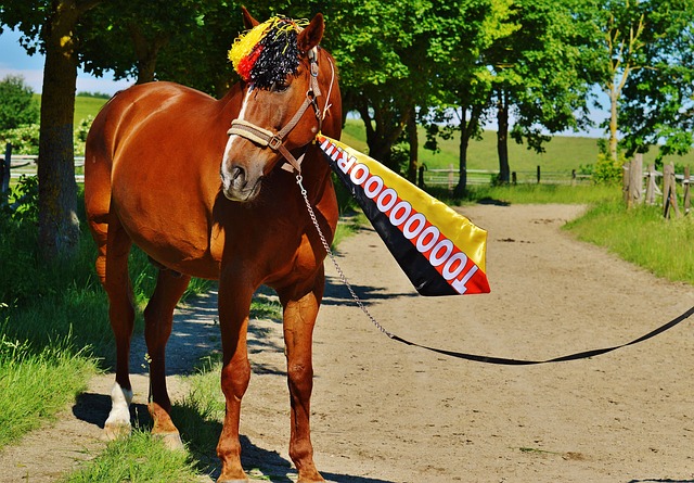 的战术布置 的战术布置