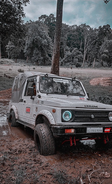 是非常必要 是非常必要