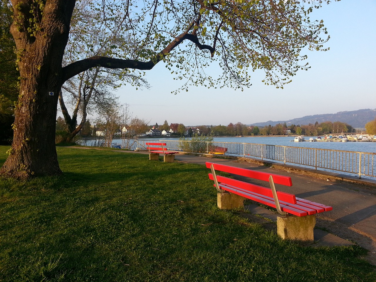 仅关乎个体 仅关乎个体